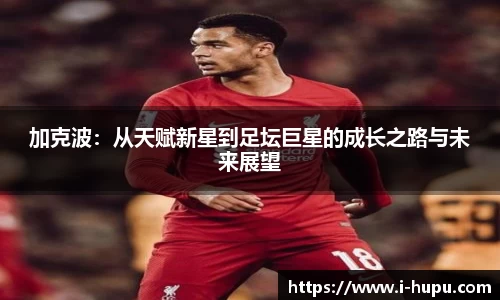 虎扑电竞官方网站